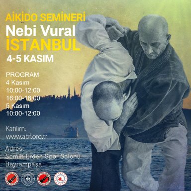 Aikido seminar poster