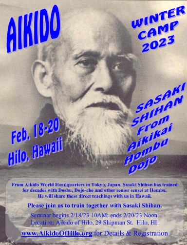 Aikido seminar poster