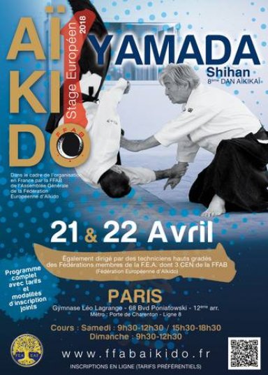 Aikido seminar poster