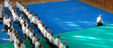 Aikido seminar poster