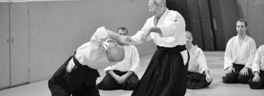 Aikido seminar poster