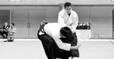 Aikido seminar poster