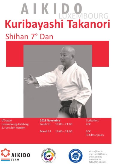 Aikido seminar poster