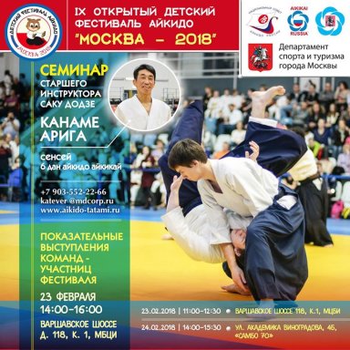 Aikido seminar poster