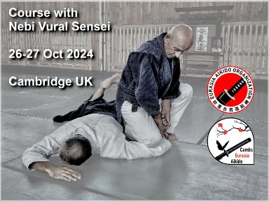 Aikido seminar poster