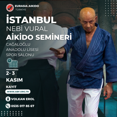 Aikido seminar poster