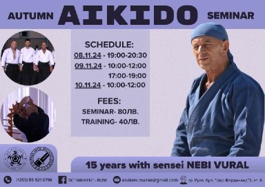 Aikido seminar poster