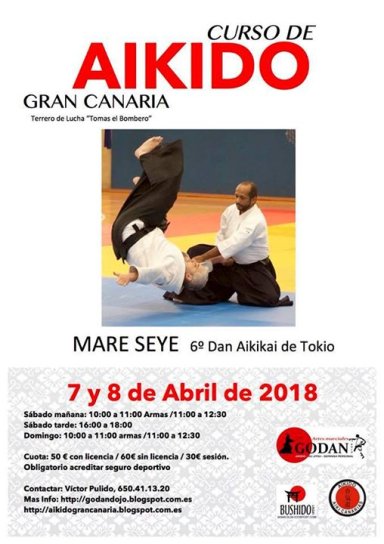 Aikido seminar poster