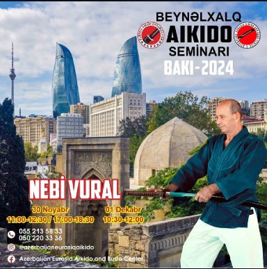 Aikido seminar poster