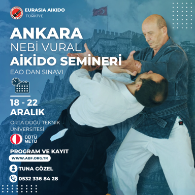 Aikido seminar poster