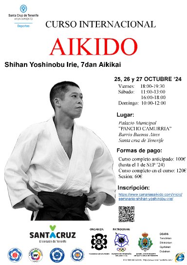 Aikido seminar poster