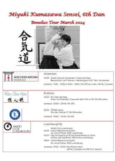 Aikido seminar poster