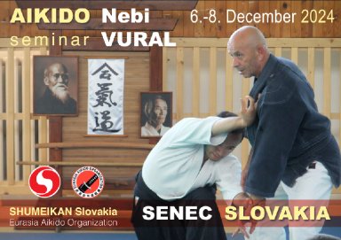 Aikido seminar poster