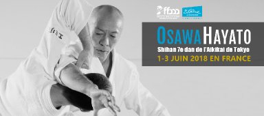 Aikido seminar poster