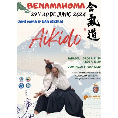 Aikido seminar poster