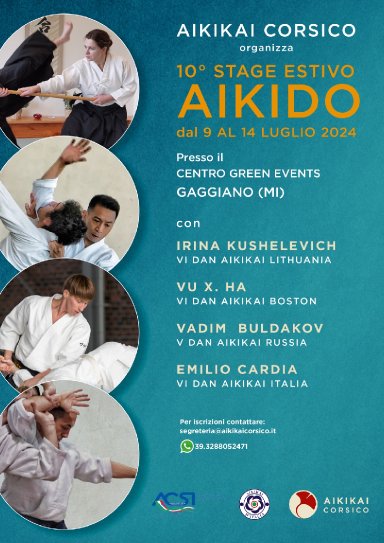 Aikido seminar poster