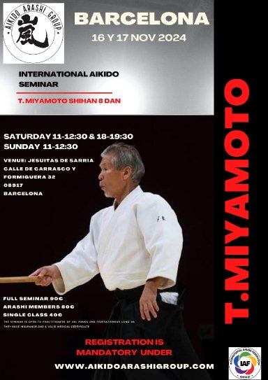 Aikido seminar poster