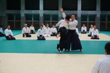 Aikido seminar poster