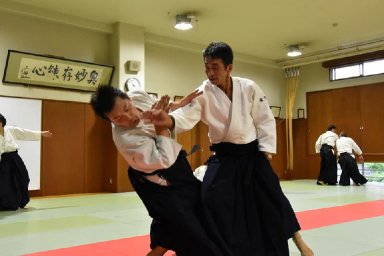 Aikido seminar poster