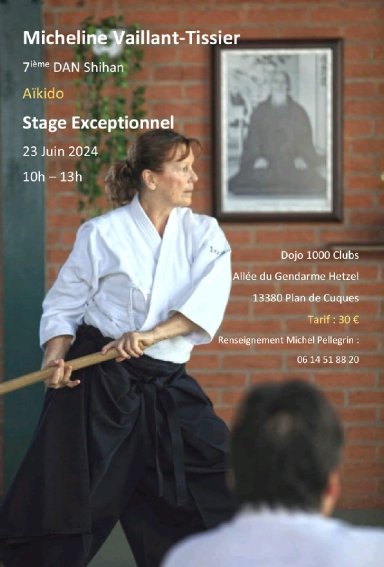 Aikido seminar poster