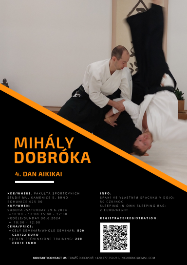 Aikido seminar poster