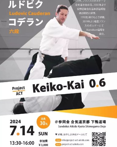 Aikido seminar poster