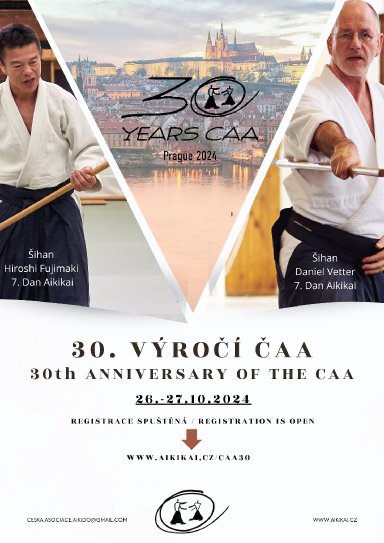 Aikido seminar poster