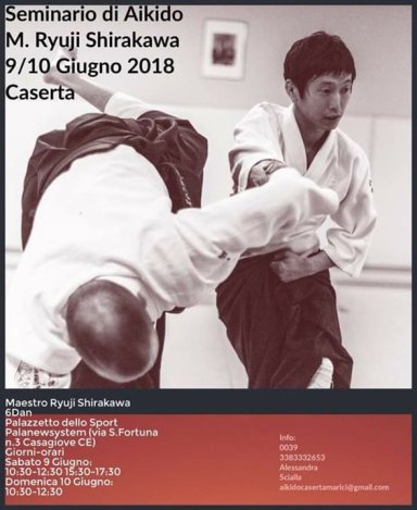 Aikido seminar poster