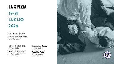 Aikido seminar poster