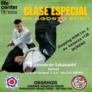 Aikido seminar poster