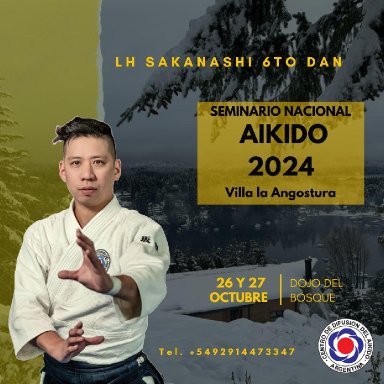 Aikido seminar poster