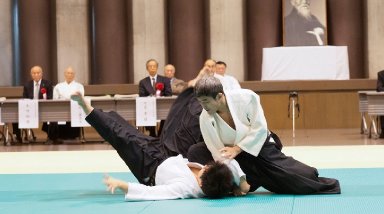 Aikido seminar poster