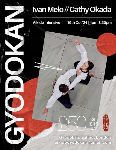 Aikido seminar poster