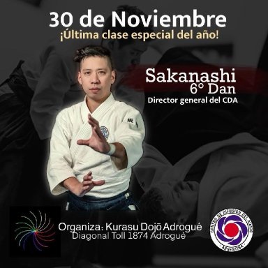 Aikido seminar poster