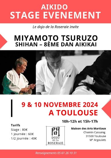 Aikido seminar poster