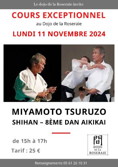 Aikido seminar poster