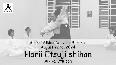 Aikido seminar poster