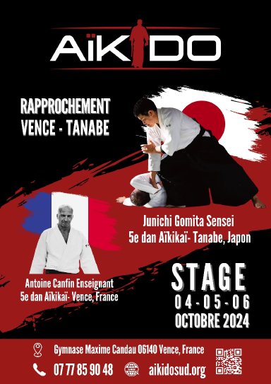 Aikido seminar poster