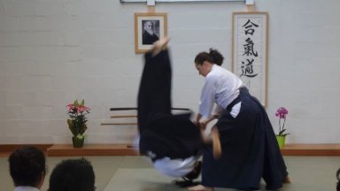 Aikido seminar poster