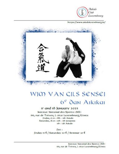 Aikido seminar poster