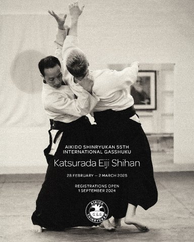 Aikido seminar poster