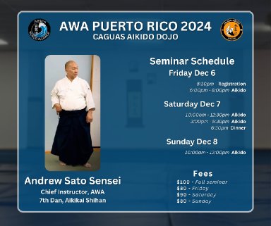 Aikido seminar poster