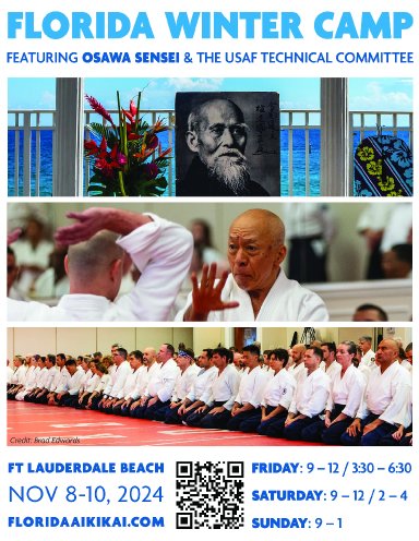 Aikido seminar poster