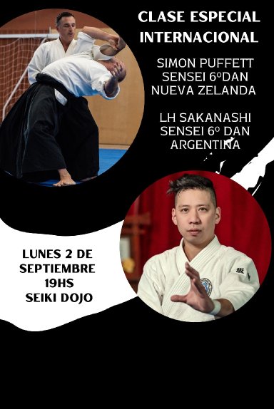 Aikido seminar poster