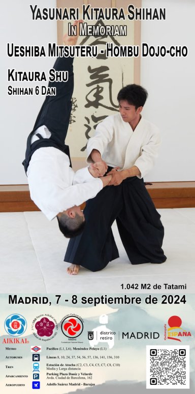 Aikido seminar poster