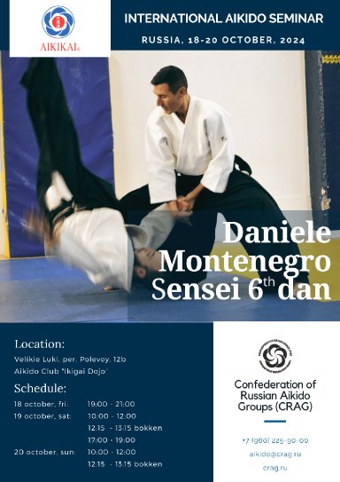 Aikido seminar poster