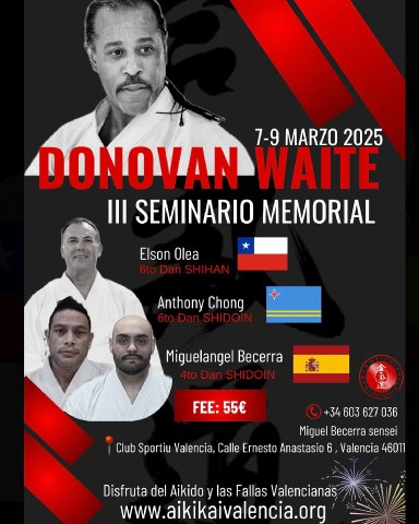 Aikido seminar poster