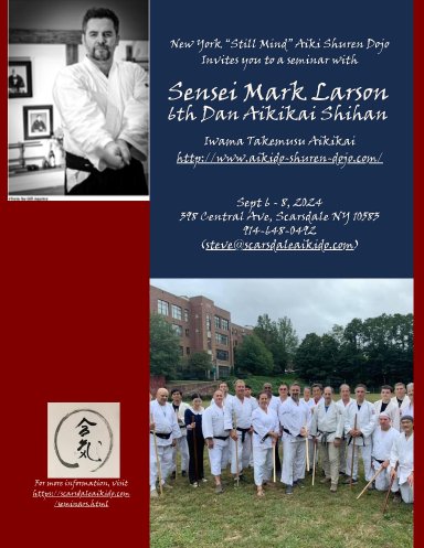 Aikido seminar poster