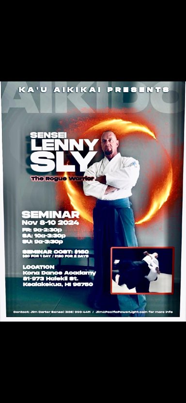 Aikido seminar poster