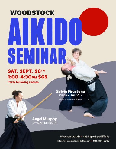 Aikido seminar poster